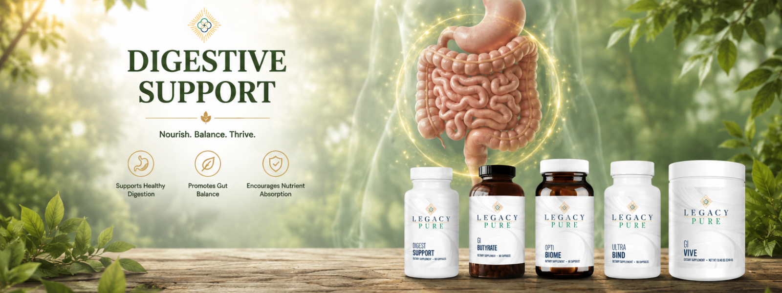 Digestive Support Collection Hero Image
